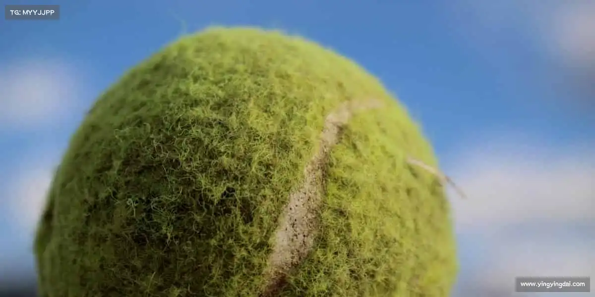 BB电子官网——突破自我，从选择开始🏓​